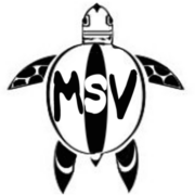 (c) Msv-nicaragua.de